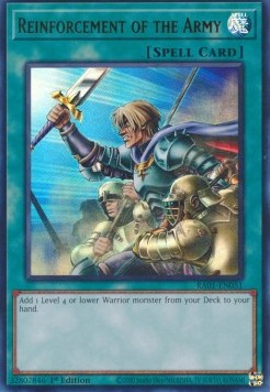 Rinforzi dell'Esercito